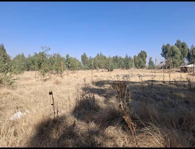 16,225M² SMALLHOLDING FOR SALE IN MIDDELVLEI AH